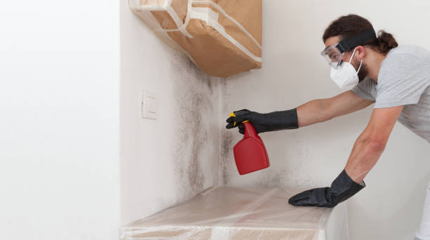 Professional Mold Remediation technician working in Shenandoah Farms, VA