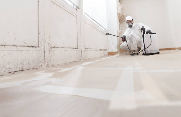 24/7 Emergency Mold Remediation experts in Shenandoah Farms, VA