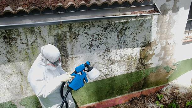 Top rated local Mold Remediation specialists in Shenandoah Farms, VA